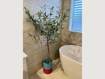 Image 1 of 11