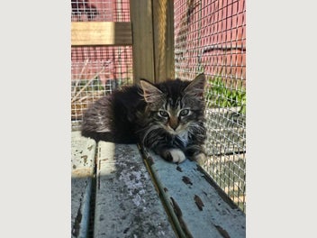 Image 1 of 12