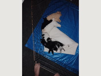 Image 1 of 7