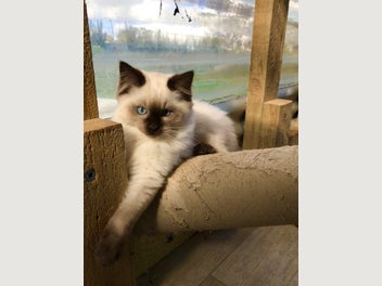 Image 1 of 17