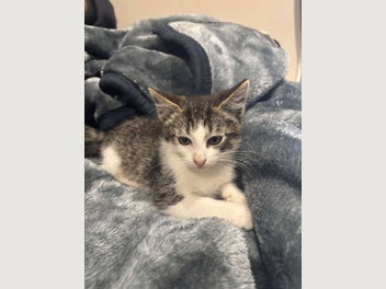 Image 1 of 8