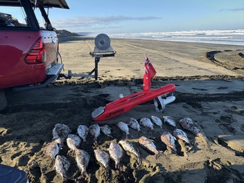 Image 1 of 6