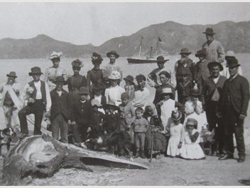 Image 1 of 20