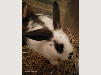 Image 1 of 1
