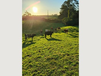 Image 1 of 19