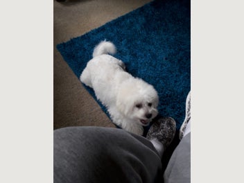 Image 1 of 9