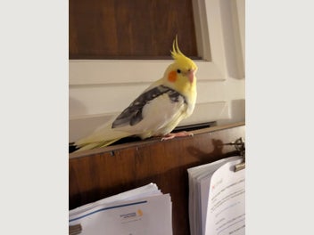 Image 1 of 1