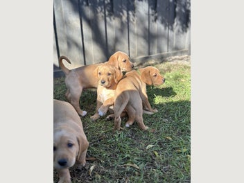 Image 1 of 11