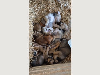 Image 1 of 7