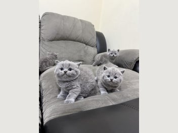 Image 1 of 20