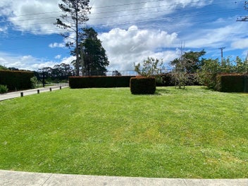 Image 1 of 16