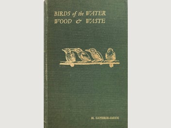 Image 1 of 10