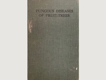 Image 1 of 16