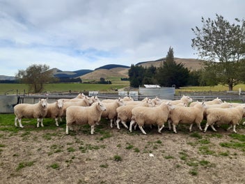 Image 1 of 8