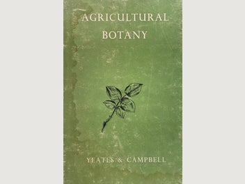 Image 1 of 12