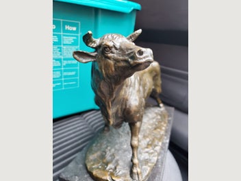 Image 1 of 12