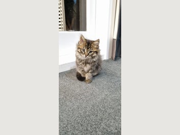 Image 1 of 12