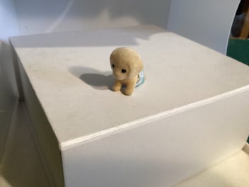 Image 1 of 5