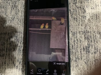 Image 1 of 9