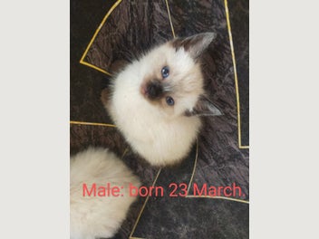 Image 1 of 18