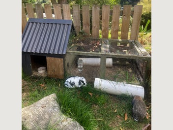 Image 1 of 6