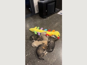 Image 1 of 20