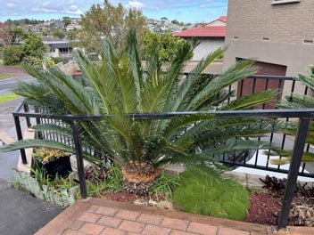 Image 1 of 2