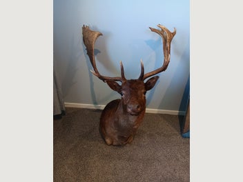 Image 1 of 5
