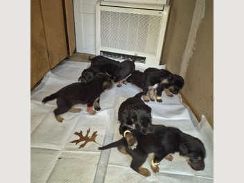 Image 1 of 14