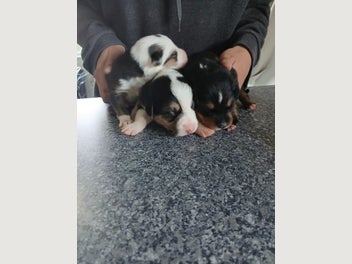 Image 1 of 6