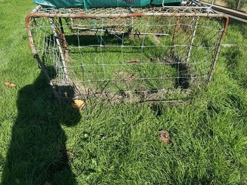 Image 1 of 2
