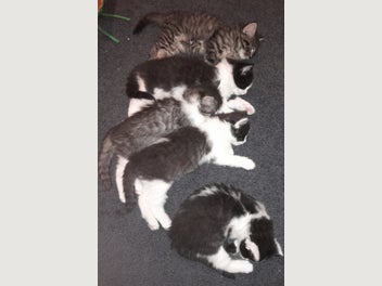 Image 1 of 10