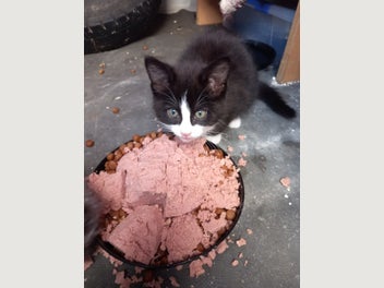 Image 1 of 5