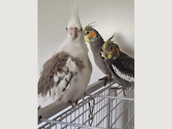 Image 1 of 7