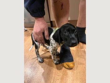 Image 1 of 6