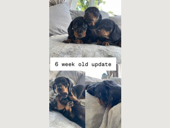 Image 1 of 6