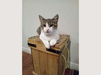 Image 1 of 4