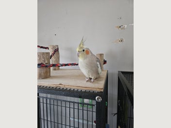 Image 1 of 1