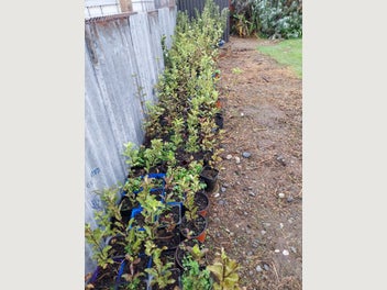 Image 1 of 6
