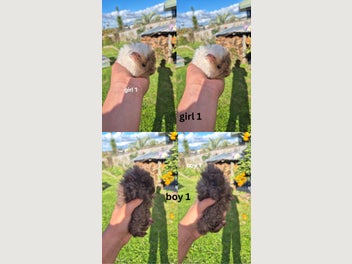 Image 1 of 6