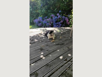 Image 1 of 5