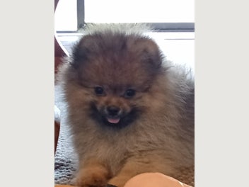 Image 1 of 6
