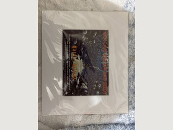 Image 1 of 19