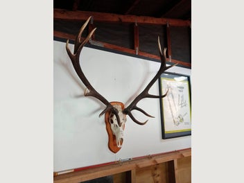 Image 1 of 5