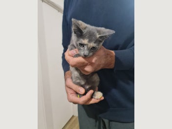 Image 1 of 6