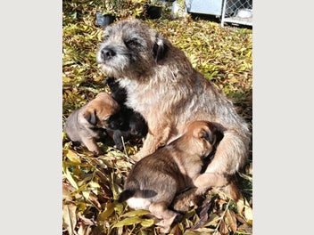 Image 1 of 6