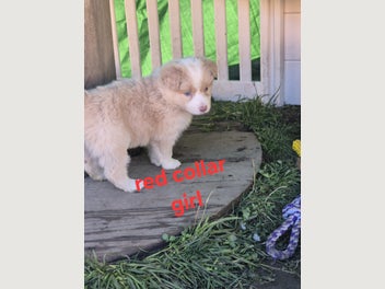 Image 1 of 12