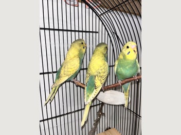 Image 1 of 3