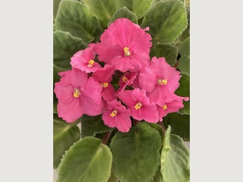 Image 1 of 8