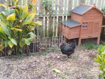 Image 1 of 5